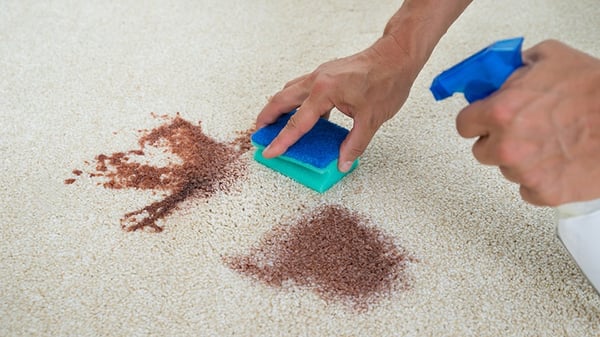 A demonstration of how to get stains out of your carpet