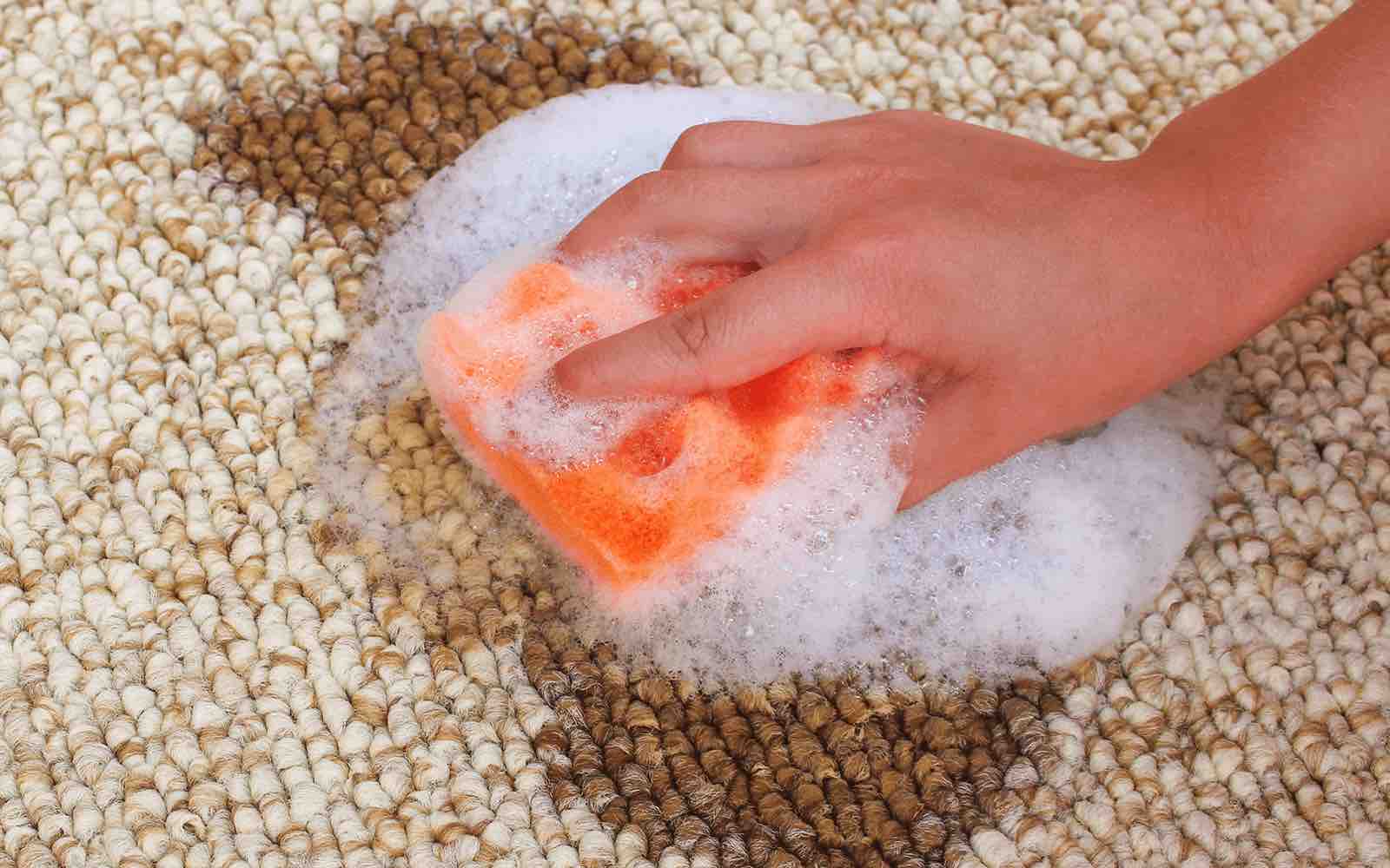 How to get blood on sale stains out of carpet