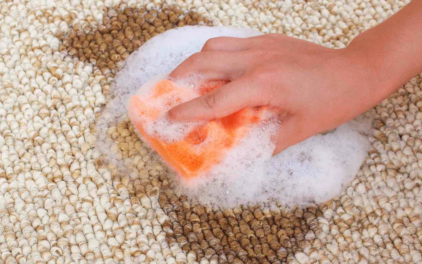 How To Get Blood Stains Out Of Carpet - Carpet Stain Removal