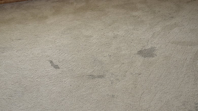 Make Up Stains Out Of Your Carpet